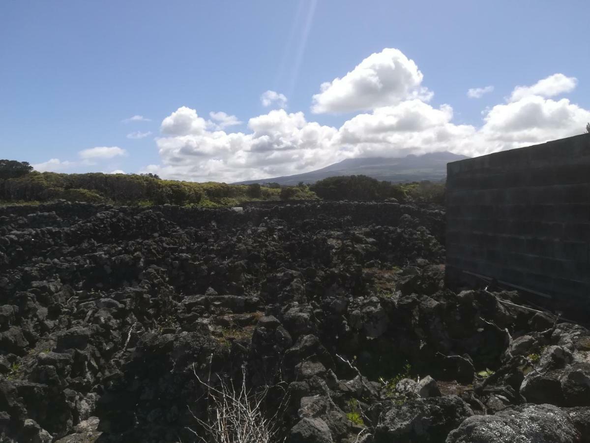 Adega Dos Virgilios Villa Madalena  Kültér fotó